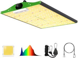 Lámpara Para Cultivo Interior Viparspectra P1500 Potencia De 1.5kw Color De La Luz Verde