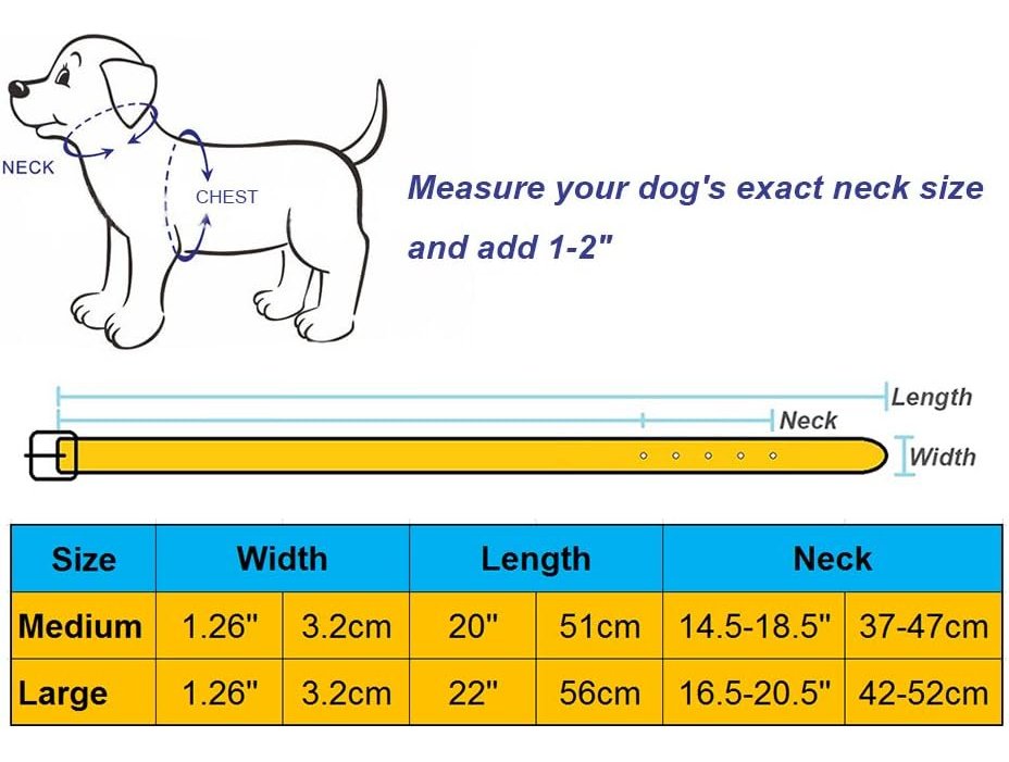 Aolove Collar Marrón Clásico De Cuero Con Púas Para Perros - Image 4