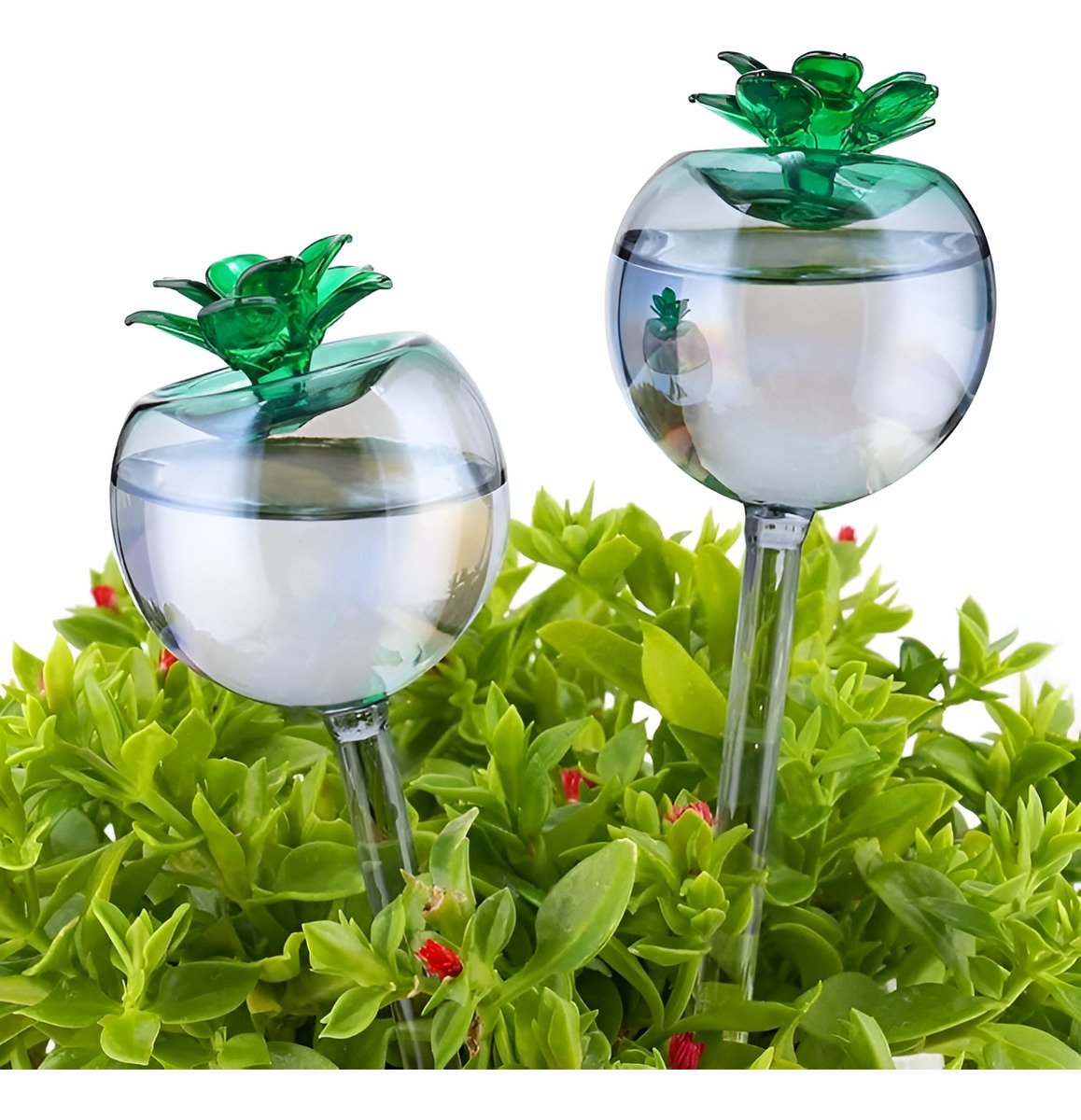 Nihome Mushroom Aqua Spike - Paquete De 2 Bombillas De Riego - Image 3