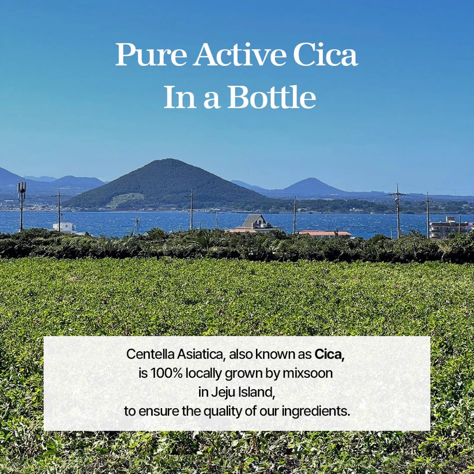 Mixsoon Soondy Esencia De Centella Asiática Hidratante 100ml - Image 4